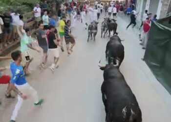 VÍDEO | Emocionante y vibrante encierro con toros de Espartaco por las calles de La Vall d’Uixó