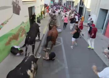 Seis corredores heridos y un corneado en las sueltas posteriores al encierro con toros de Espartaco en La Vall d’Uixó