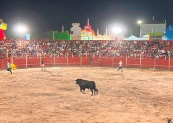 Los cortadores abandonan el concurso de cortes de Tudela de Duero antes de la final y denuncian públicamente el incumplimiento de las condiciones acordadas con la organización