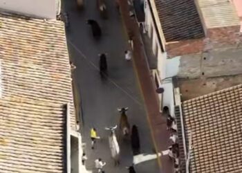 VÍDEO | Así fue el encierro con toros cerriles de Victoriano del Río por las calles de Museros