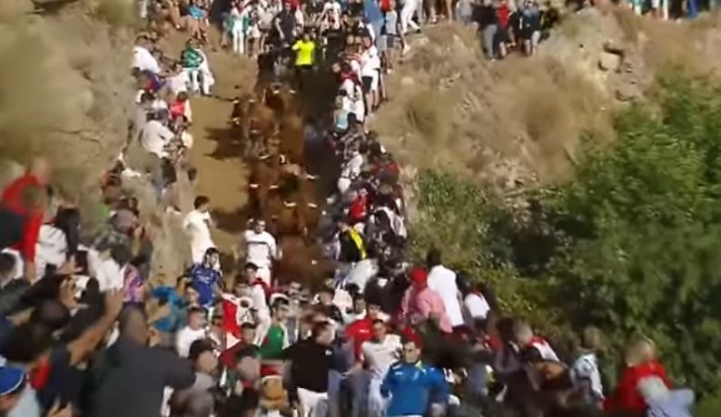 VÍDEO | Un corredor herido trasladado al hospital en el séptimo encierro del Pilón de Falces con reses de Juan José Laparte