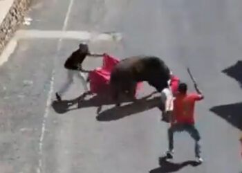 VÍDEO | Escalofriante cogida en Liétor: un toro prende y se ensaña con violencia con un joven tras salir del cajón
