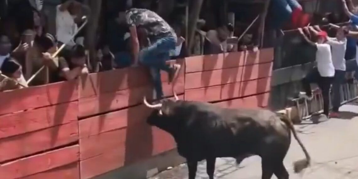 Tragedia en Huamantla (México): dos personas mueren tras ser corneadas por un toro y hay ocho personas hospitalizadas