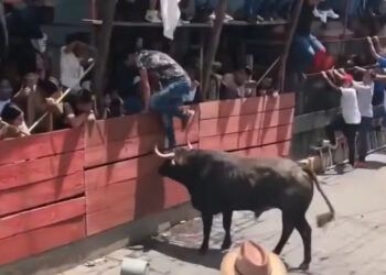 Tragedia en Huamantla (México): dos personas mueren tras ser corneadas por un toro y hay ocho personas hospitalizadas