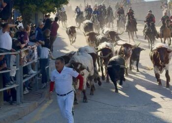 Los toros de Saltillo dejan un herido por asta de toro en el primer encierro de las fiestas de Cuéllar