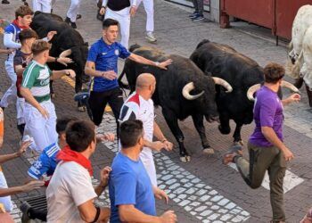 Montealto cierra los encierros de San Sebastián de los Reyes con una carrera veloz, limpia y sin heridos de gravedad
