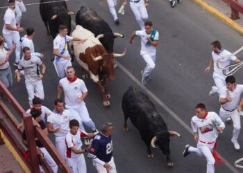 VÍDEO | Así ha sido el primer encierro de las fiestas de San Sebastián de los Reyes, con toros de la ganadería de Hermanos Tardieu