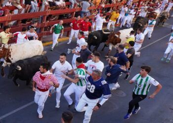 Zalduendo completa un tercer encierro rápido, limpio y con los bueyes tomando el protagonismo en San Sebastián de los Reyes