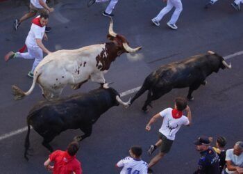 San Sebastián de los Reyes pone fin a sus encierros con un total de seis heridos en la última carrera con novillos de Montealto