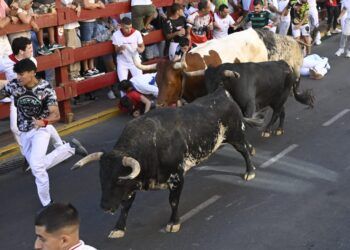 Zalduendo completa un tercer encierro rápido, limpio y con los bueyes tomando el protagonismo en San Sebastián de los Reyes