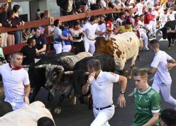 Peligroso y accidentado el quinto encierro con toros de La Castilleja en San Sebastián de los Reyes: mucha tensión tras formarse una montonera de corredores en la entrada a la plaza