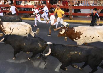 VÍDEO | Así ha sido el octavo y último encierro con novillos de Montealto en San Sebastián de los Reyes