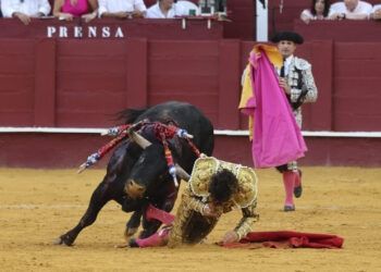 VÍDEO | Así fue la fuerte cogida a Morante en la plaza de toros de Málaga, que puso al mundo del toro en vilo