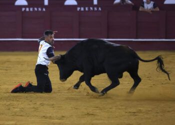 VÍDEO | Los mejores momentos del concurso nacional de recortadores celebrado en Málaga