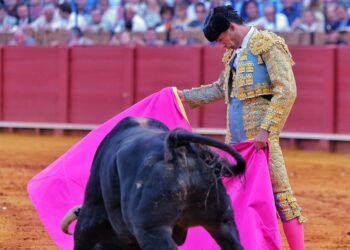 VÍDEO | Así ha sido la triunfal e importante tarde de Pablo Aguado con toros de Jandilla en Sevilla