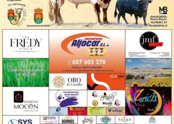 Rueda presenta al Toro de la Vendimia 2026: dos astados serán soltados el próximo 10 de octubre