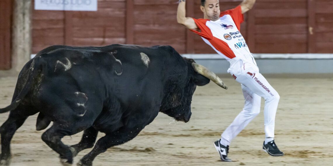 «El Peta» se proclama campeón de la segunda eliminatoria del Campeonato de España de Recortadores en Guadalajara