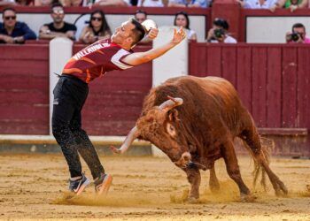 VÍDEO | Los mejores momentos del Campeonato Mundial de Cortes en la plaza de toros de Valladolid