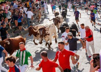 VÍDEO | Multitudinario y rápido encierro con novillos de Raso de Portillo en Calasparra