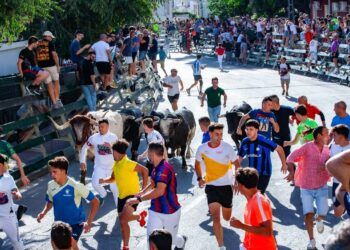 VÍDEO | Así ha sido el bonito y vistoso encierro con novillos de Rehuelga en Calasparra