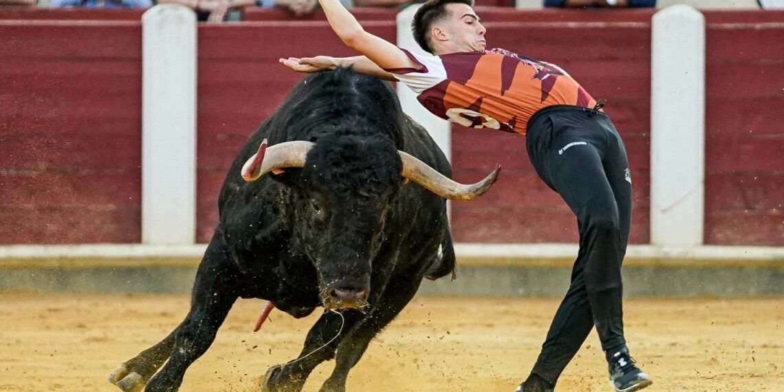VÍDEO | Los mejores momentos del Campeonato Mundial de Cortes en la plaza de toros de Valladolid