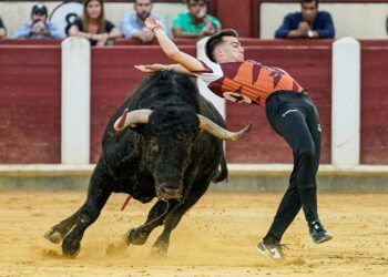 VÍDEO | Los mejores momentos del Campeonato Mundial de Cortes en la plaza de toros de Valladolid