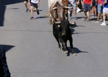 VÍDEO | Así ha sido el segundo encierro de las fiestas de Villacarrillo (Jaén)