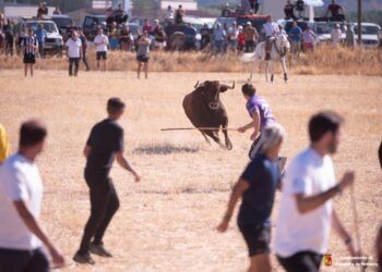 GALERÍA | Un serio astado de La Glorieta y un novillo de Fuenterroble protagonizan el último encierro campero de Yunquera de Henares