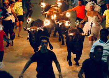 En imágenes, el tradicional encierro con toros embolados bajo la noche de Burriana