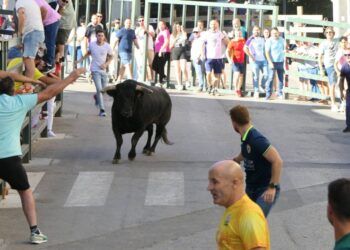 VÍDEO | Así ha sido el cuarto encierro de las fiestas de Villacarrillo: un hombre sufre una cogida en la plaza