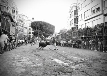 Burriana disfruta de la suelta de dos toros cerriles de Victoriano del Río y Peñajara