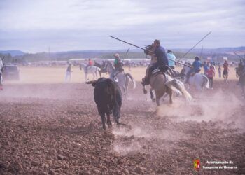 GALERÍA | Un utrero de la ganadería de Sánchez de Alba protagoniza el primer encierro por el campo en Yunquera de Henares