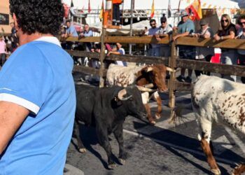 VÍDEO | Así ha sido el primer encierro de las fiestas de Moralzarzal (Madrid) con seis novillos y la posterior suelta de dos astados