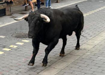 VÍDEO | Así ha sido el cuarto encierro de las fiestas de Moralzarzal (Madrid) con cuatro novillos y la posterior suelta de dos astados