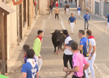 Complicado y peligroso encierro con toros de Rosa Rodríguez en Cuéllar: un jinete y varios caballos resultan heridos