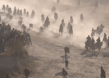 VÍDEO | Así ha sido el cuarto encierro de las fiestas de Cuéllar con novillos de Beteta