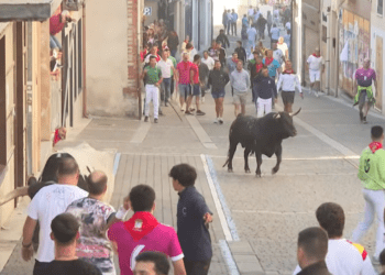 VÍDEO | Así ha sido el cuarto encierro de las fiestas de Cuéllar con novillos de Beteta