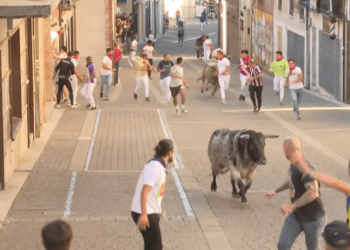VÍDEO | Así ha sido el quinto y último encierro con novillos de Aurelio Hernando en Cuéllar