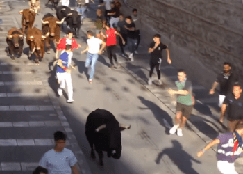 VÍDEO | Así ha sido el segundo encierro y capea de las fiestas patronales en Arganda del Rey