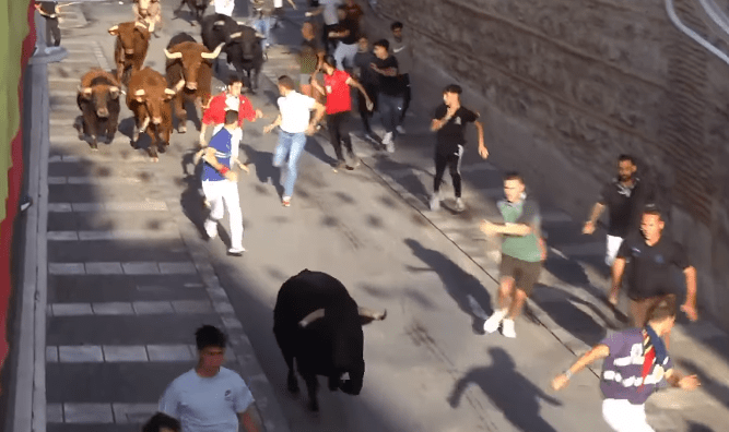 VÍDEO | Así ha sido el segundo encierro y capea de las fiestas patronales en Arganda del Rey
