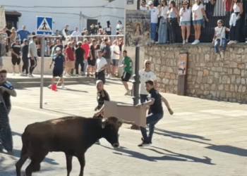 VÍDEO | Así fue la vuelta de El Pilón al recorrido del encierro de Arganda del Rey en el martes de vaquillas