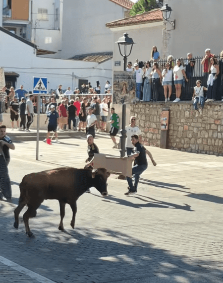 VÍDEO | Así fue la vuelta de El Pilón al recorrido del encierro de Arganda del Rey en el martes de vaquillas
