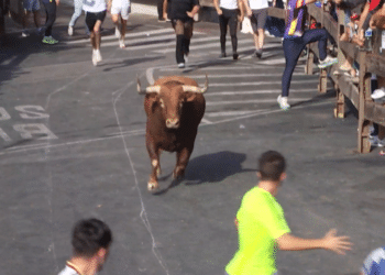 VÍDEO | Así ha sido el segundo encierro de las fiestas de Moralzarzal (Madrid) con cuatro novillos y la posterior suelta de dos astados