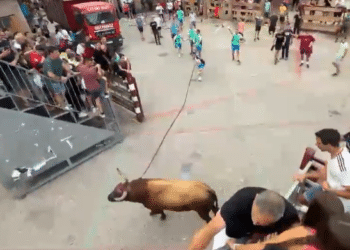 Una joven de 25 años fallece días después de sufrir una gravísima cogida por el toro con soga en Lodosa