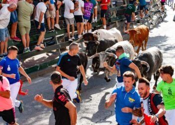 VÍDEO | Así ha sido el doble encierro con novillos de Miura y Fuente Ymbro en Calasparra