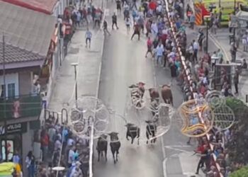 En vídeo, el cuarto encierro y capea en Arganda del Rey, con novillos de Valdefresno y toros de distintas ganaderías