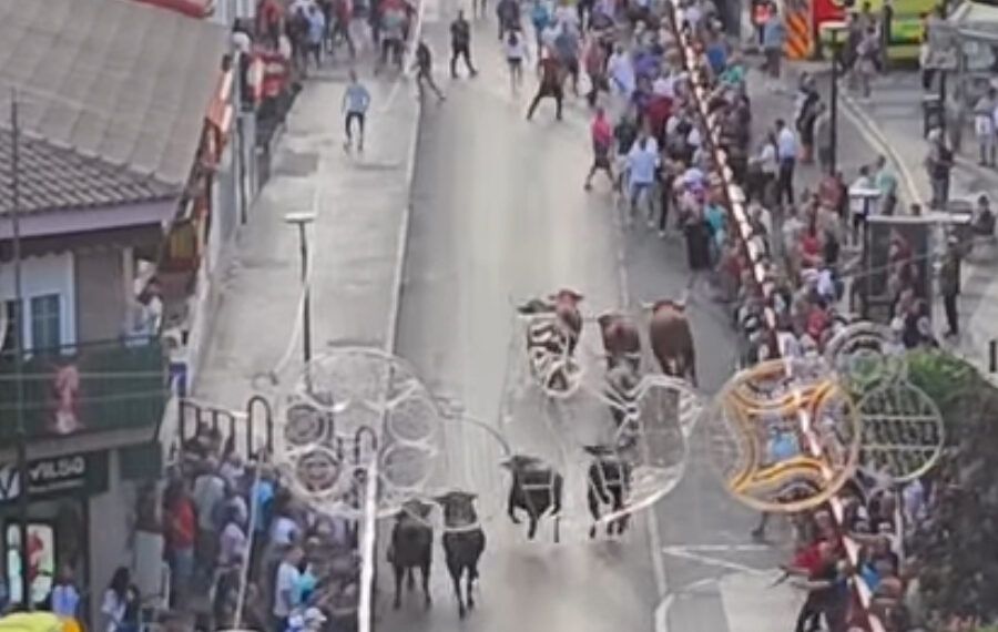 En vídeo, el cuarto encierro y capea en Arganda del Rey, con novillos de Valdefresno y toros de distintas ganaderías