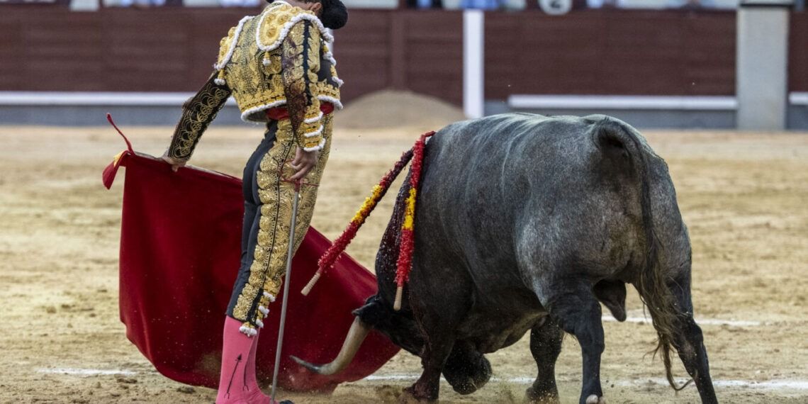 VÍDEO | Importante tarde de Damián Castaño en Las Ventas, en una tarde con hasta tres sobreros