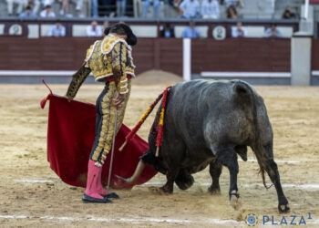VÍDEO | Importante tarde de Damián Castaño en Las Ventas, en una tarde con hasta tres sobreros