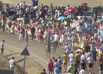 VÍDEO | Así ha sido el primer encierro de las fiestas de Olmedo, con astados de Zahorí